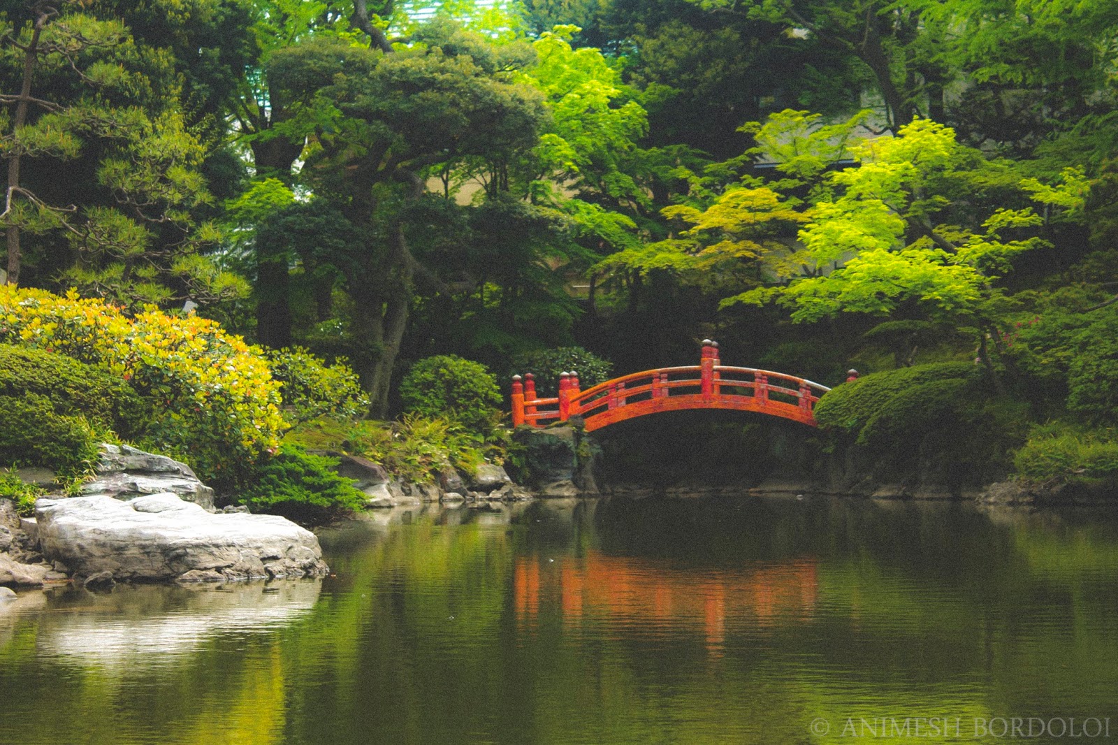 The map hopper Postcards from Japan Zen gardens