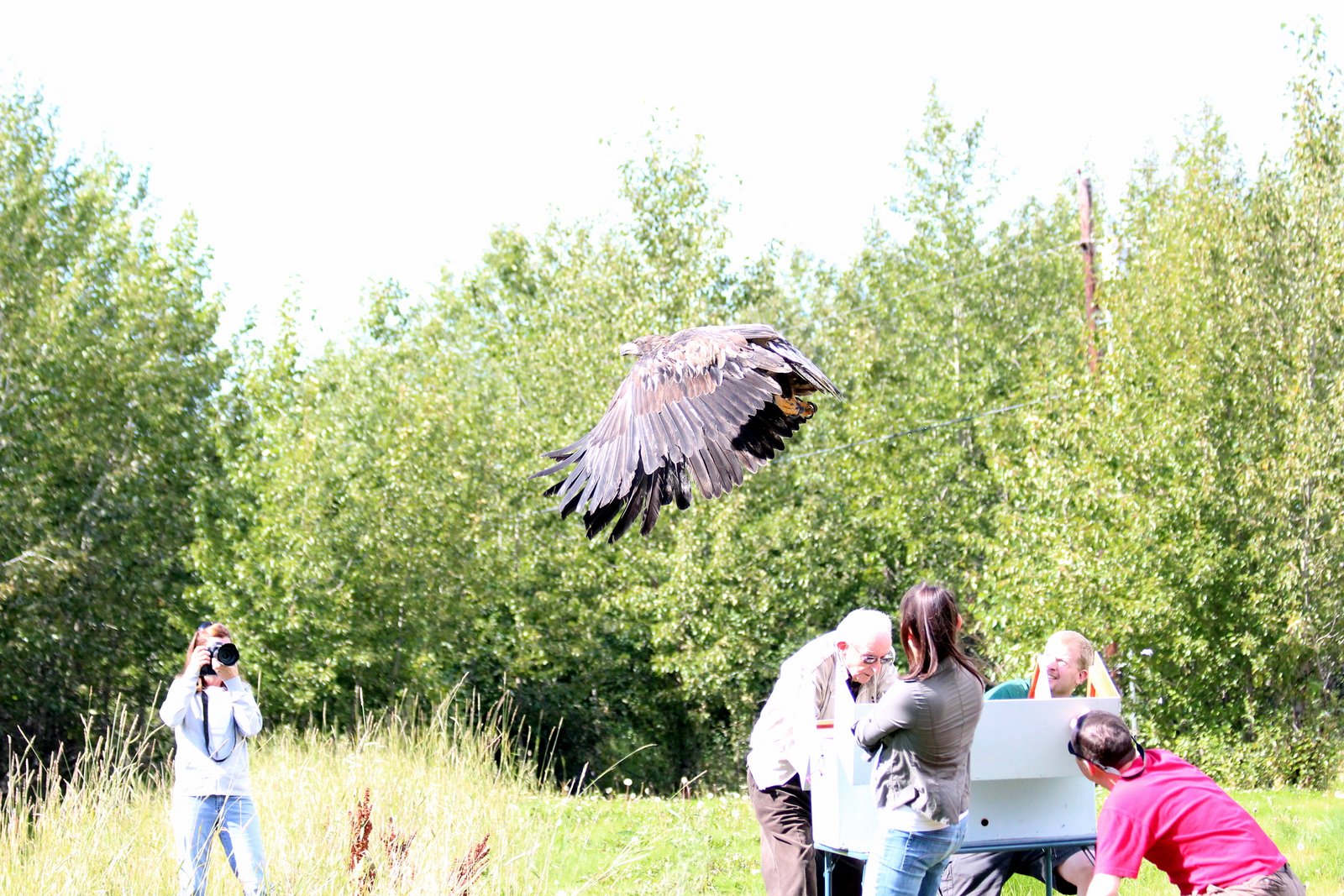 Bird Treatment and Learning Center BE 1104 released
