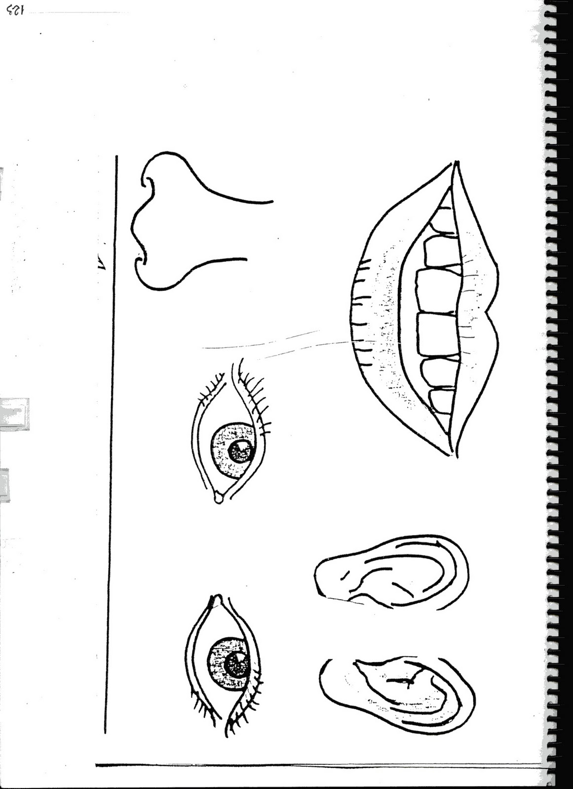 Fichas de inglés Ficha Face 8 Make a face