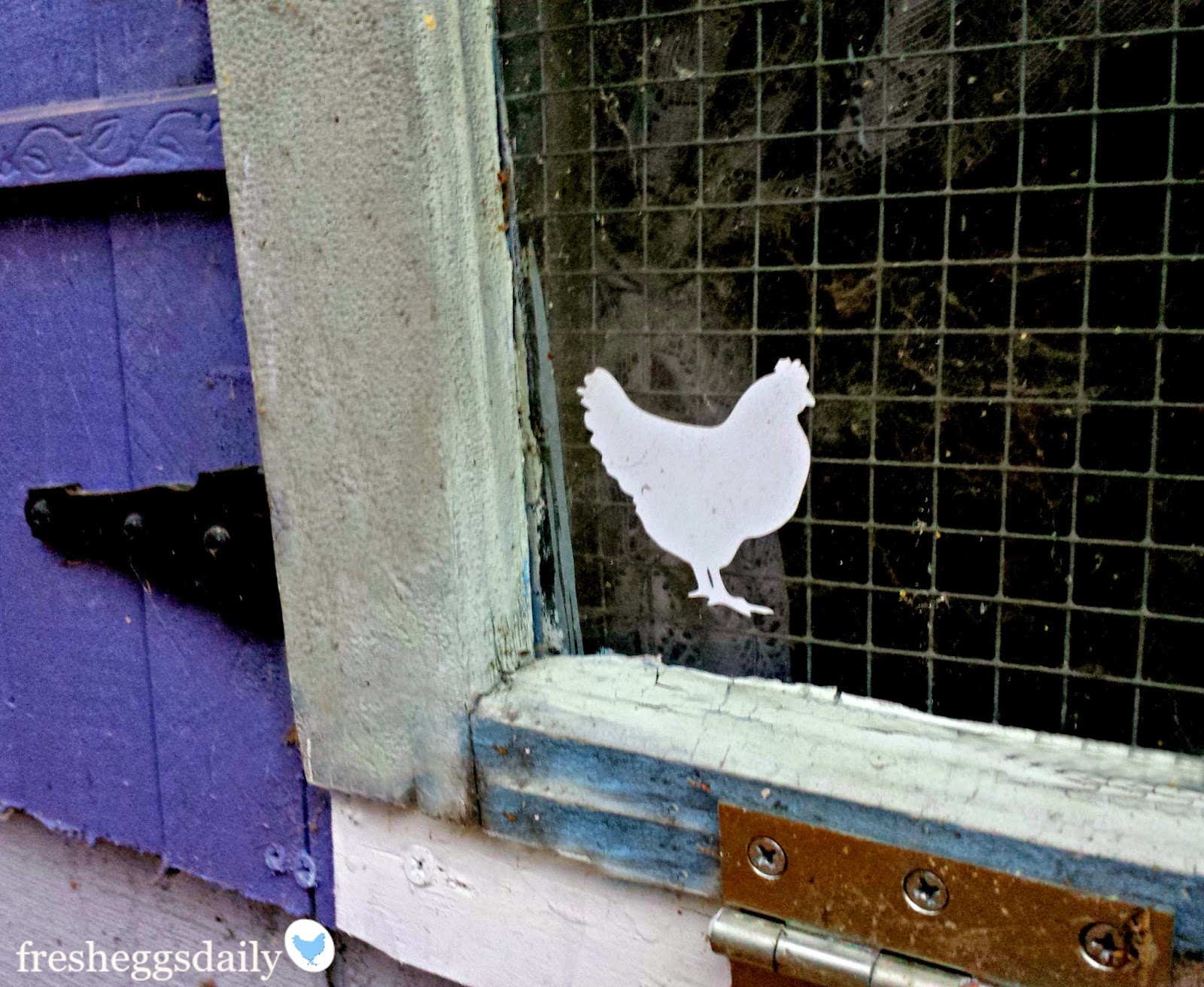 Chicken Coop Security Features Fresh Eggs Daily® with Lisa Steele