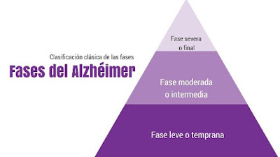 Gráfico de las fases del Alzheimer