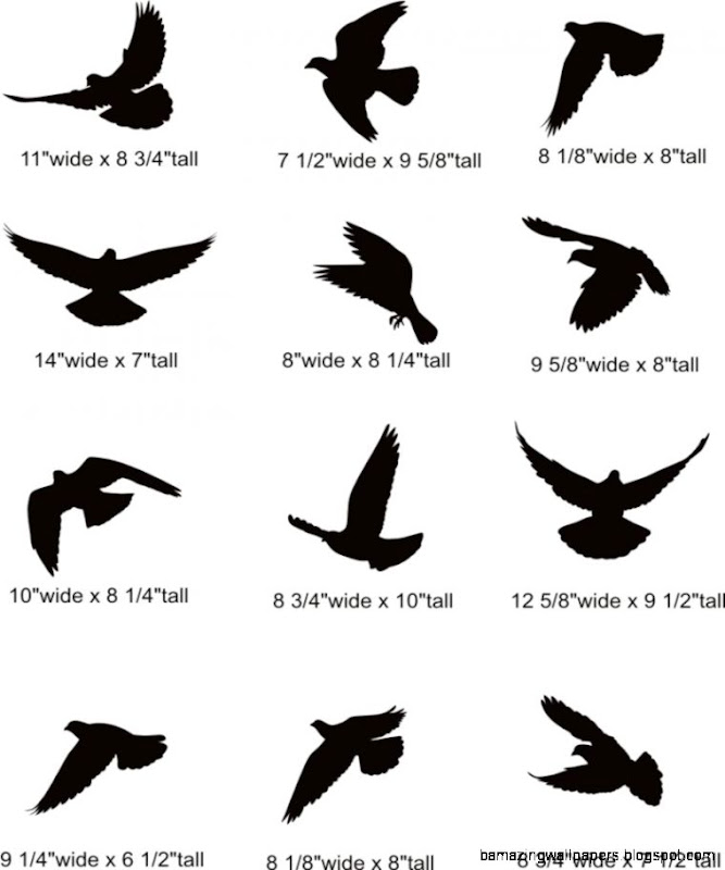 free clip art black and white birds - photo #46