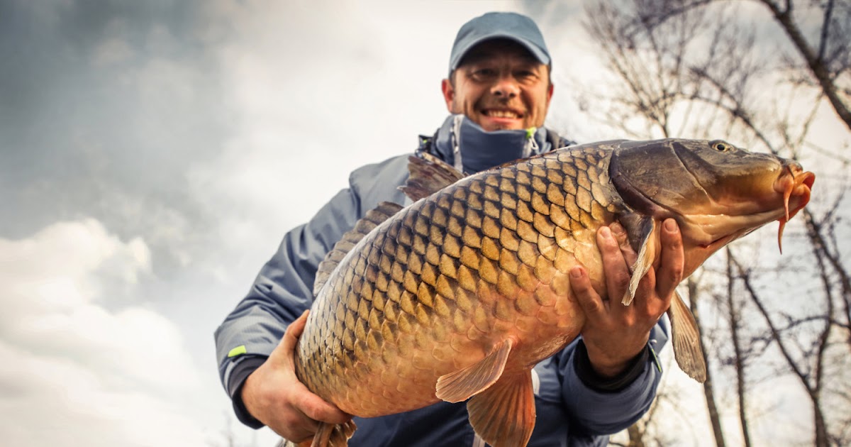 Fishing Tackle How to Catch Carp?