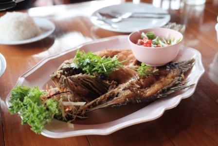Resep Masakan Ikan Kakap Siram Saus Asam Manis Resep Masakan Ikan Kakap Siram Saus Asam Manis