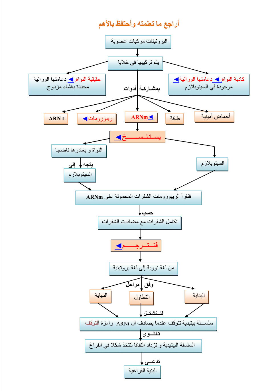 %D8%AA%D8%B1%D9%83%D9%8A%D8%A8%2B%D8%A7%D9%84%D8%A8%D8%B1%D9%88%D8%AA%D9%8A%D9%86.png