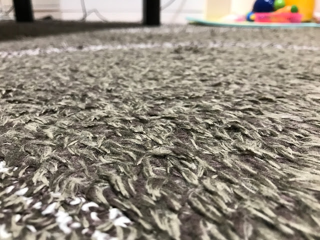 洗濯前のカーペット