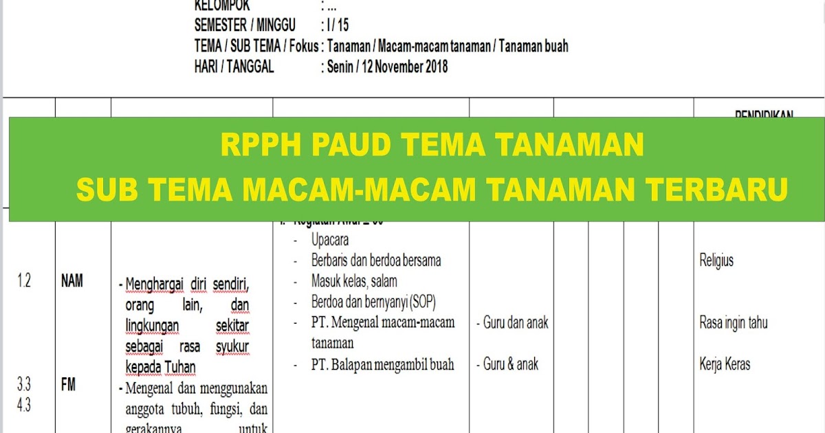 RPPH PAUD TEMA TANAMAN SUB TEMA MACAMMACAM TANAMAN