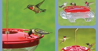 wild birds unlimited how to keep yellow jackets away from wild birds unlimited how to keep yellow jackets away from