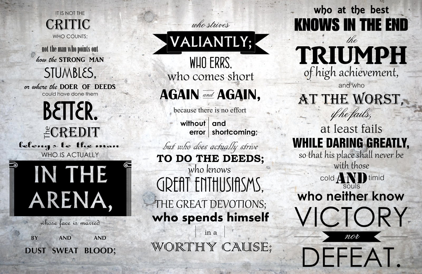 Arena The Man in the Arena