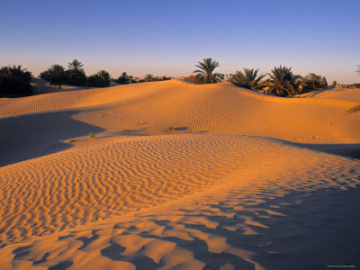 pictures sahara desert douz tunisia