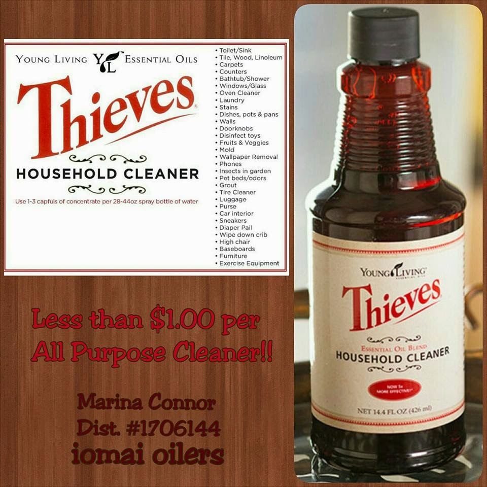 Oily Mama Bear Thieves Household Cleaner