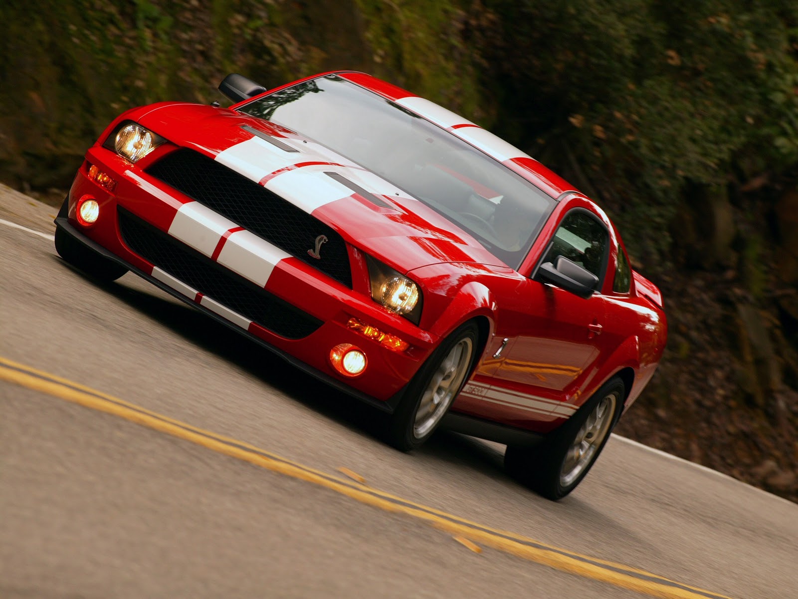 Ford Shelby GT500 Red-White Stripes Car Wallpaper 99 – Car Wallpaper
