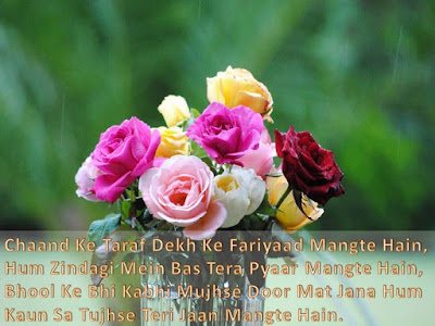 love shayri love shayri