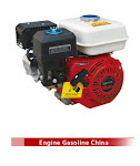Gasoline Engine China