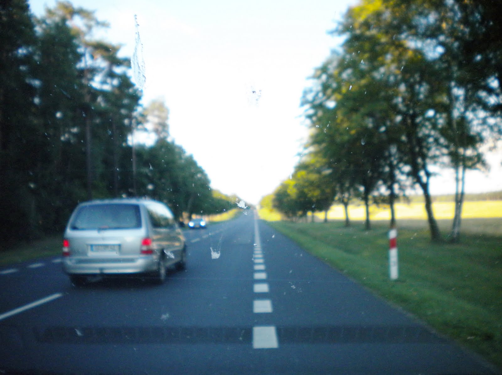 Passing on a Two-Lane Road - Polish Housewife