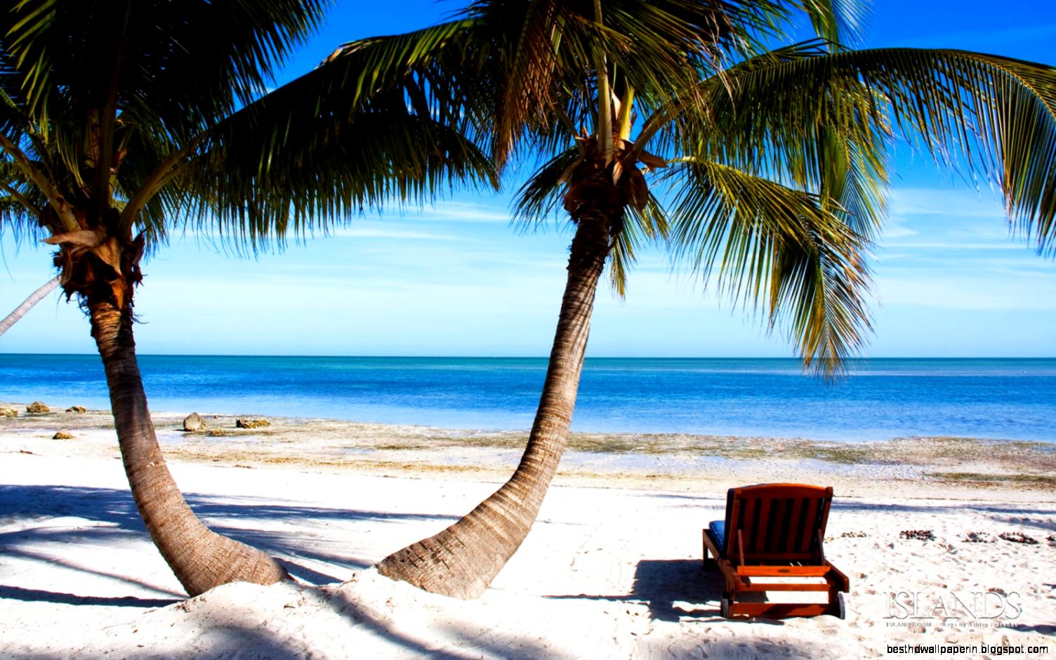 Travel in Paradise with Keys Claudia Tropical Escape Florida