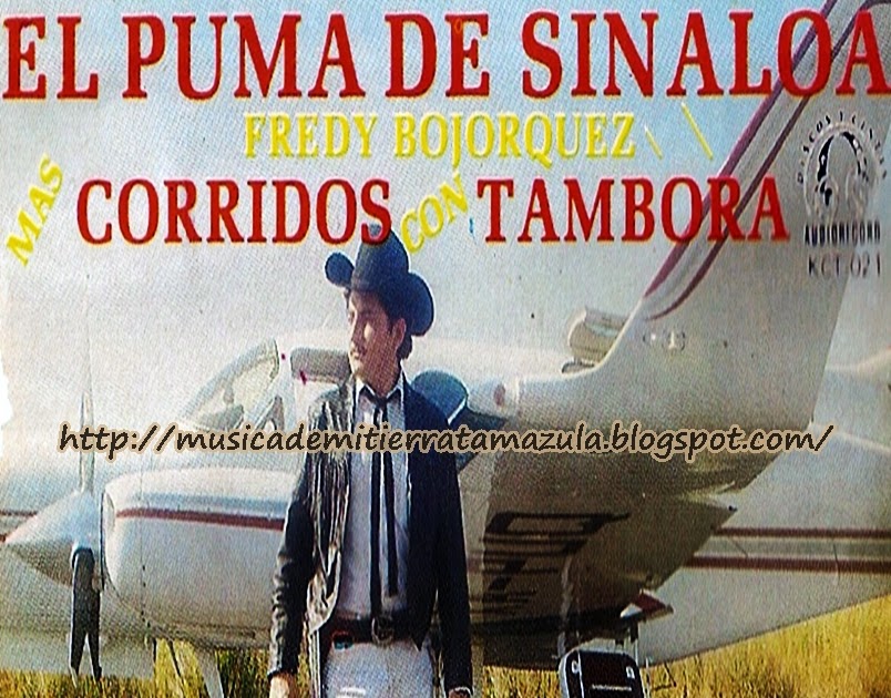 el navegante con el puma de sinaloa