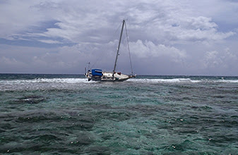 Dañados 96 metros cuadrados de arrecifes de Xcalak por velero “Summer Obsession”