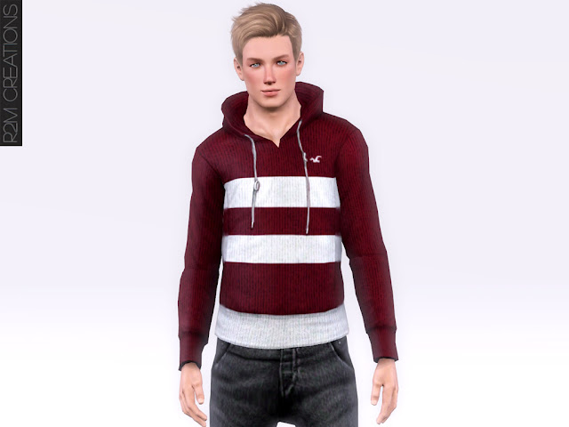 Hollister's hoodie for male