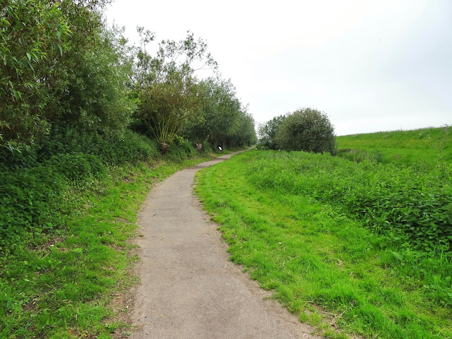 A visit to Welney Wetlands