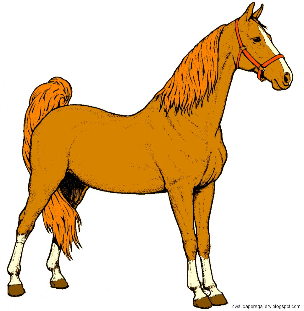 Horse Clipart Wallpapers Gallery