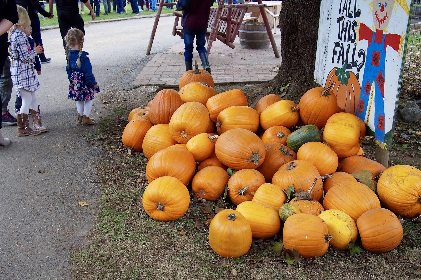 Aldor Acres Family Farm/ Pumpkin Patch Langley