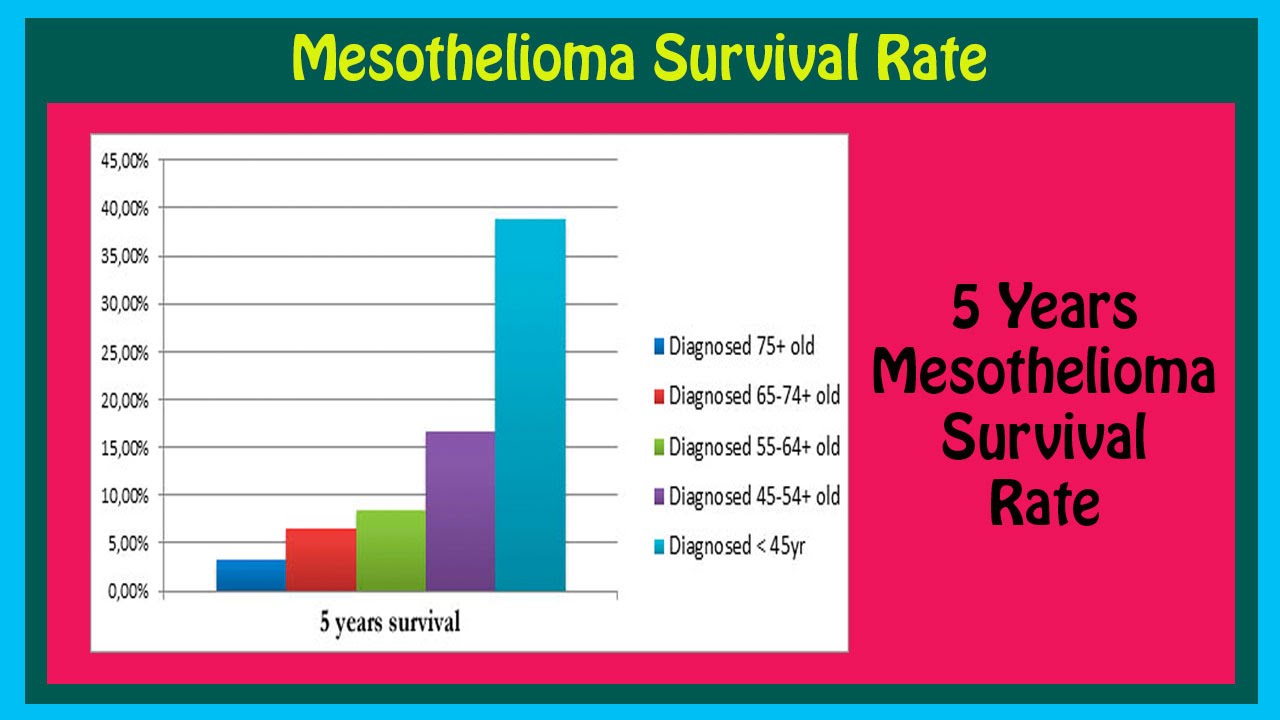 malignant mesothelioma pleural rate survival