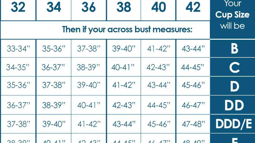 Bra Size Chart Numbers