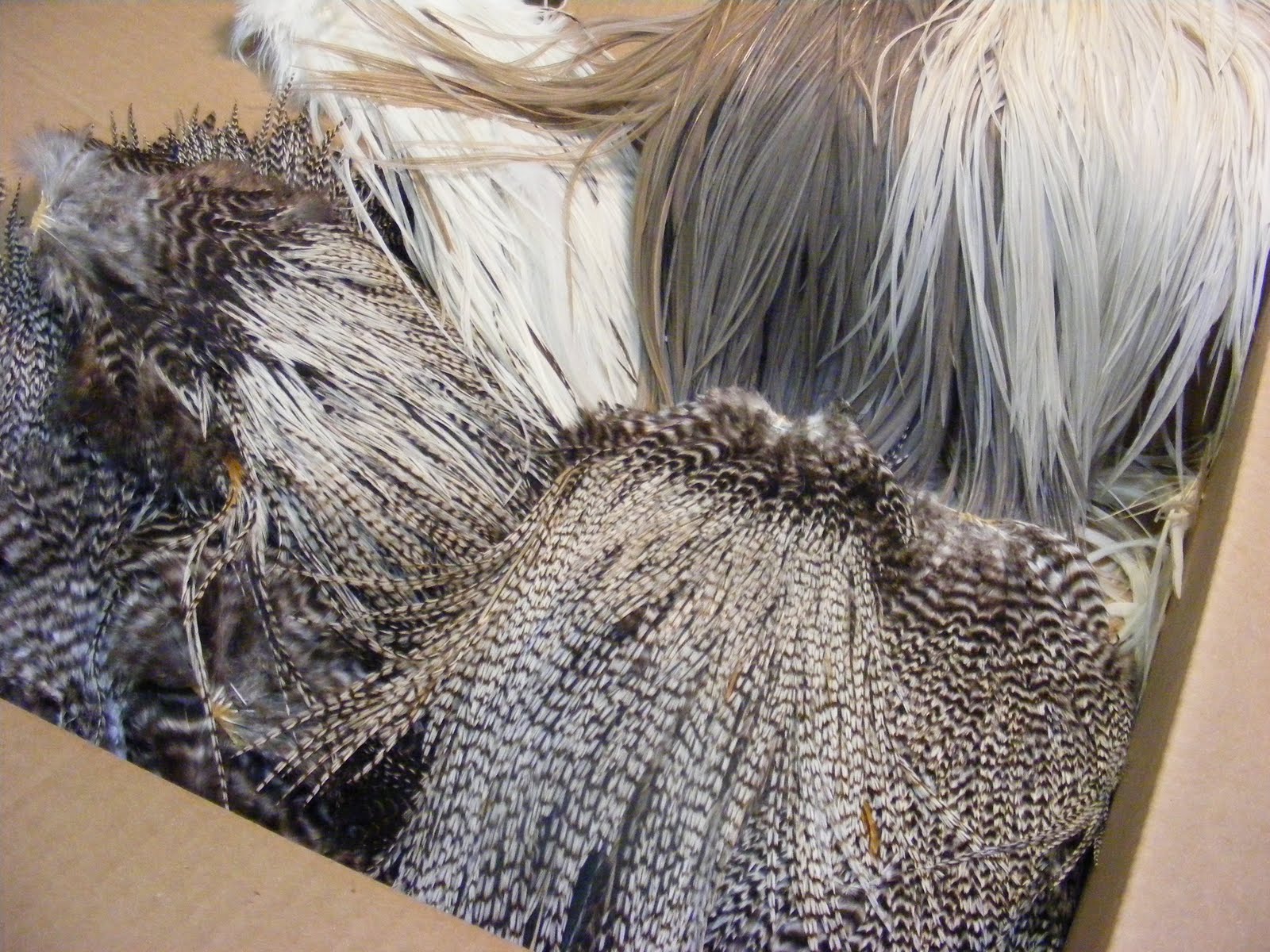 Bridge & Buckle How To Dye Grizzy Saddle Feathers