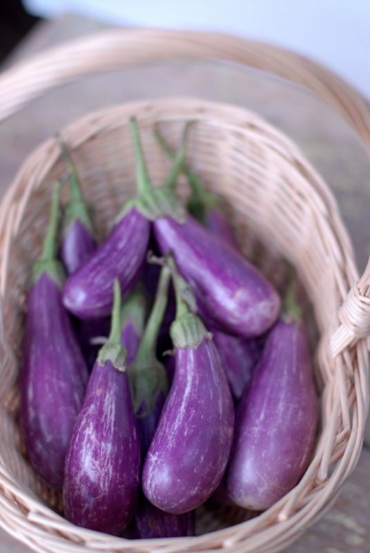 Grilled Fairytale Eggplant