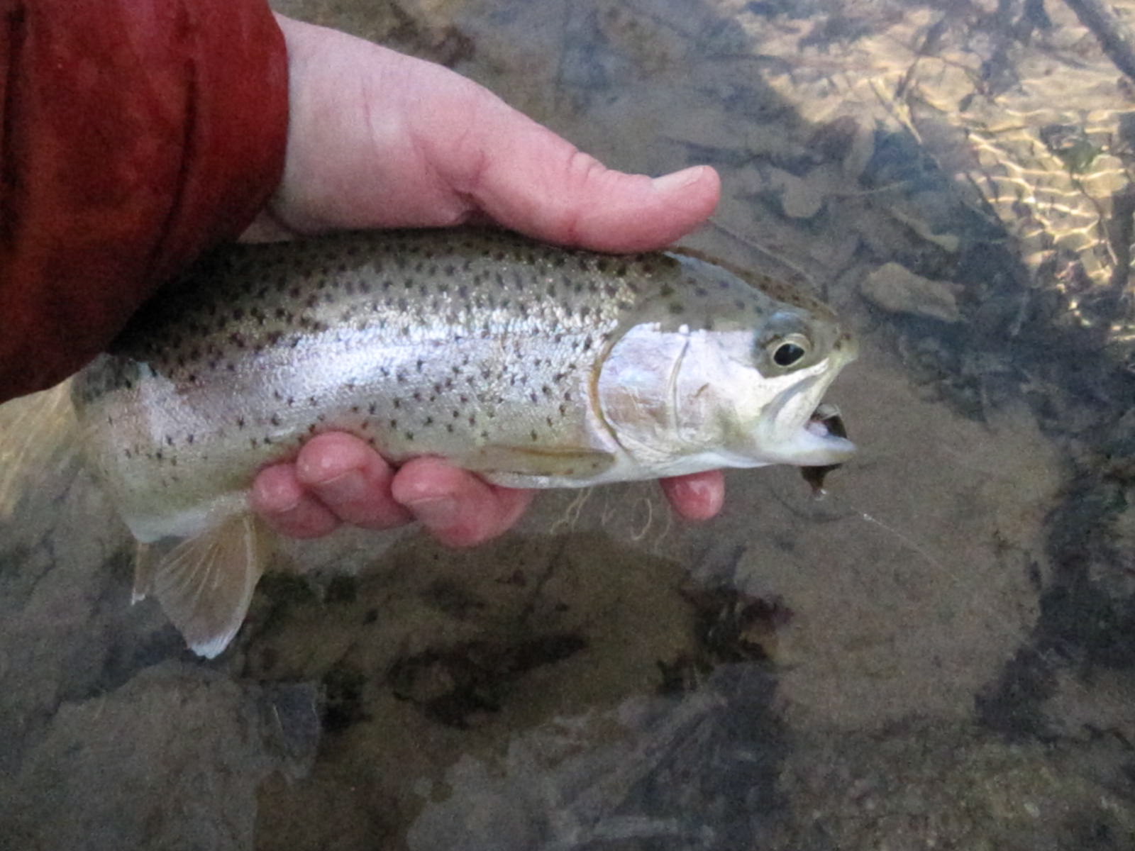 Kevin DuBois Travel and Photography Fly Fishing Beaver Creek
