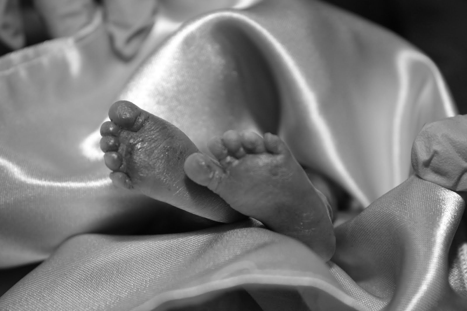 Oh Baby, Baby What I Mean When I Say "Stillborn" (applies to