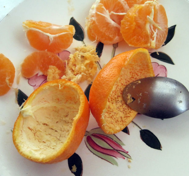 Stuff You Can't Have Tangerine Bird Silhouettes