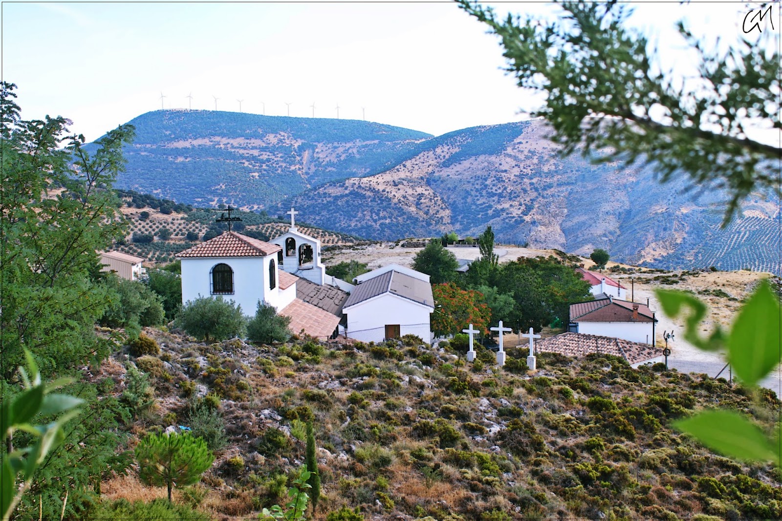 Enfocando a... La hoya de Salobral 