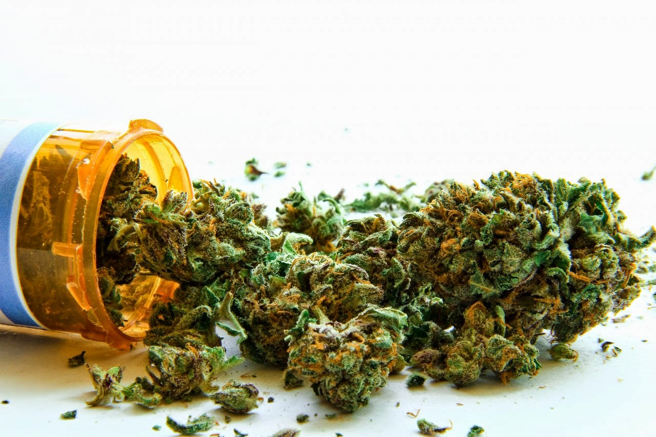 Forensic Science Facts on Cannabis Uses, Effects, Mechanisms of