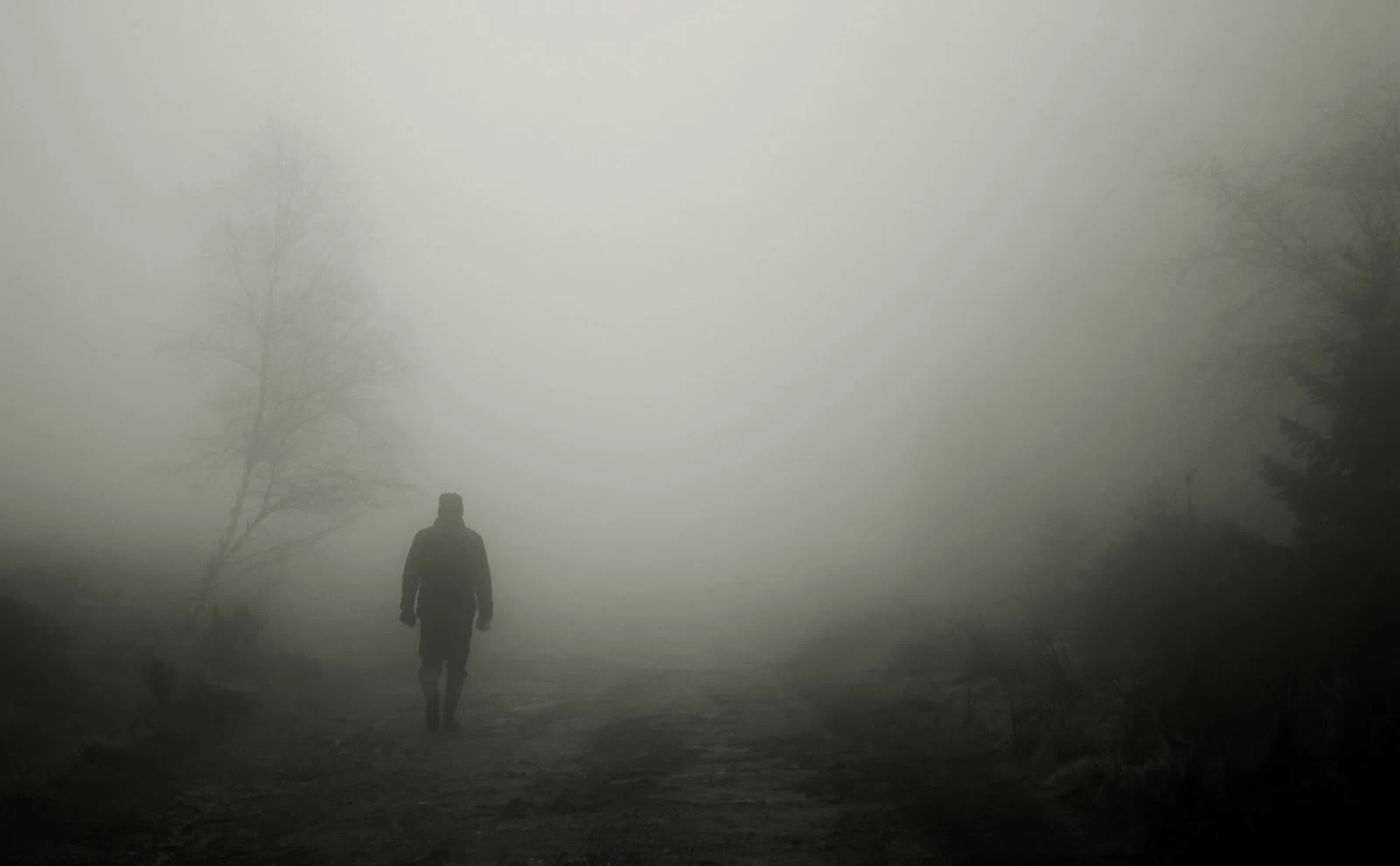 暗鬱な霧の中の歩行者