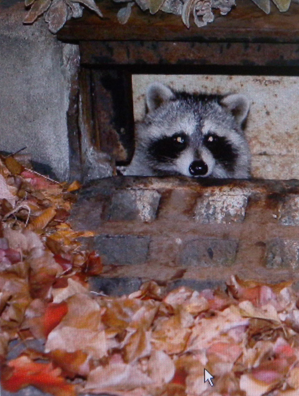 WAUKESHA SEWER RACCOON NEWS Spell Checker; Much tuning required; On