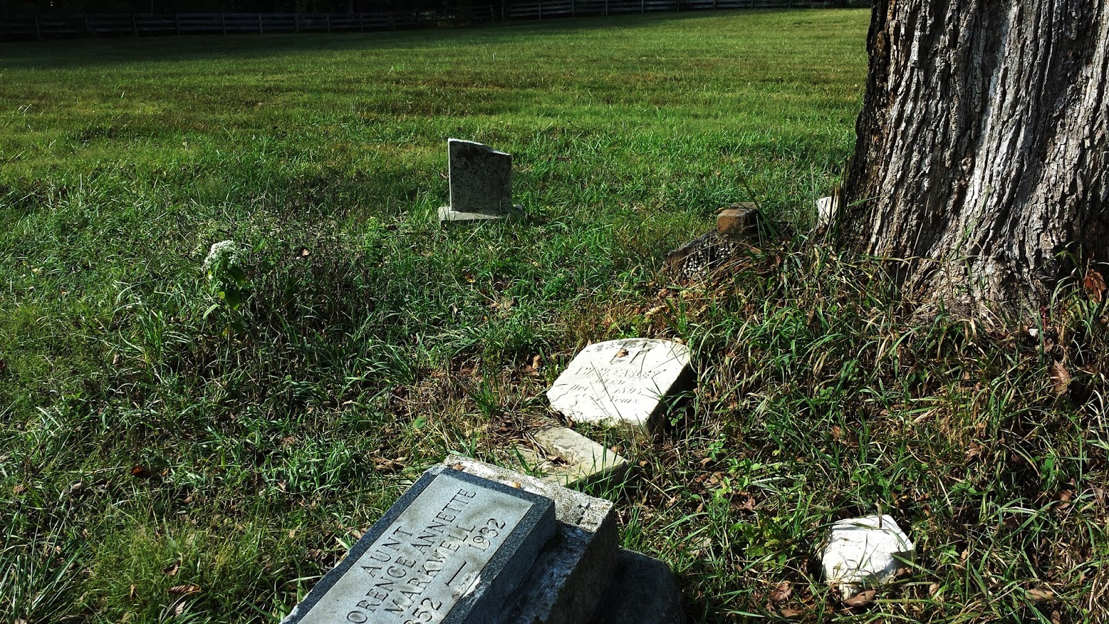 Some art, maybe a little gardening, a few other bits. Central State