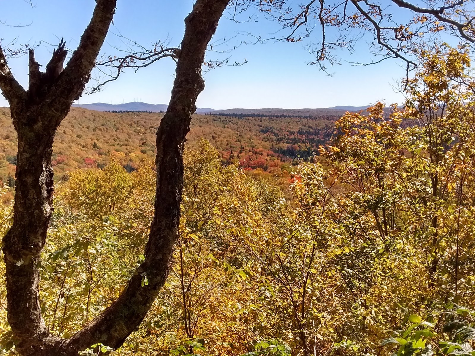 LITTLE POND & PORCUPINE LOOKOUT, Woodford VT.
