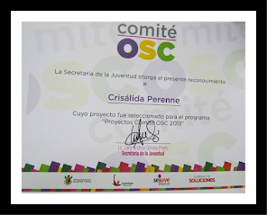 Premio al Proyecto Amor No Es Violencia