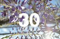 http://www.otchipotchi.com/2018/03/wisteria-in-morning.html