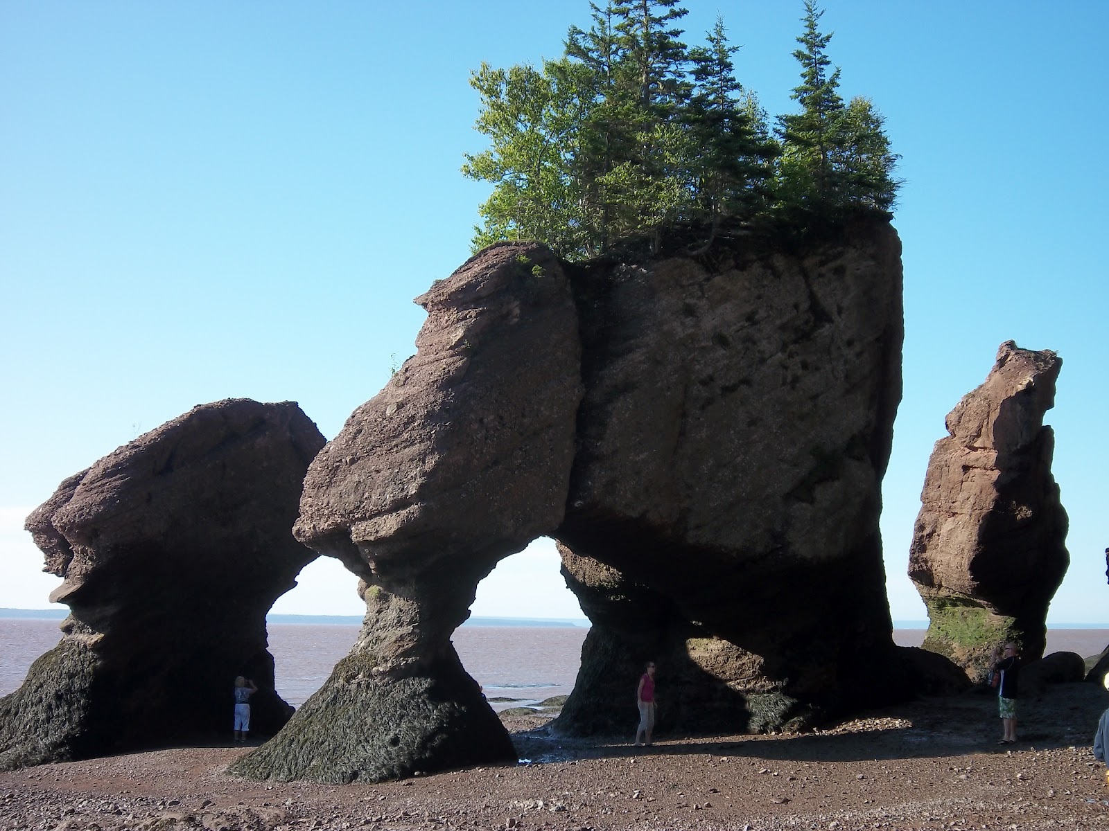 Ty and Ida On the Road: The Bay of Fundy