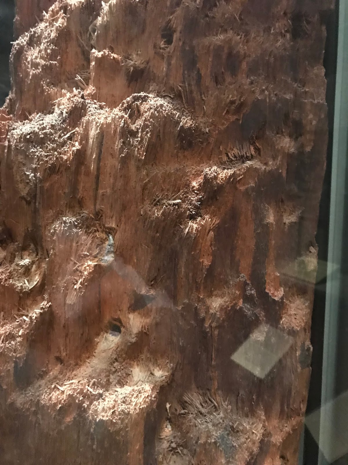 The Civil War Picket At the Smithsonian Bulletriddled tree stump