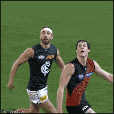 1331707667_sport_gif_01.gif