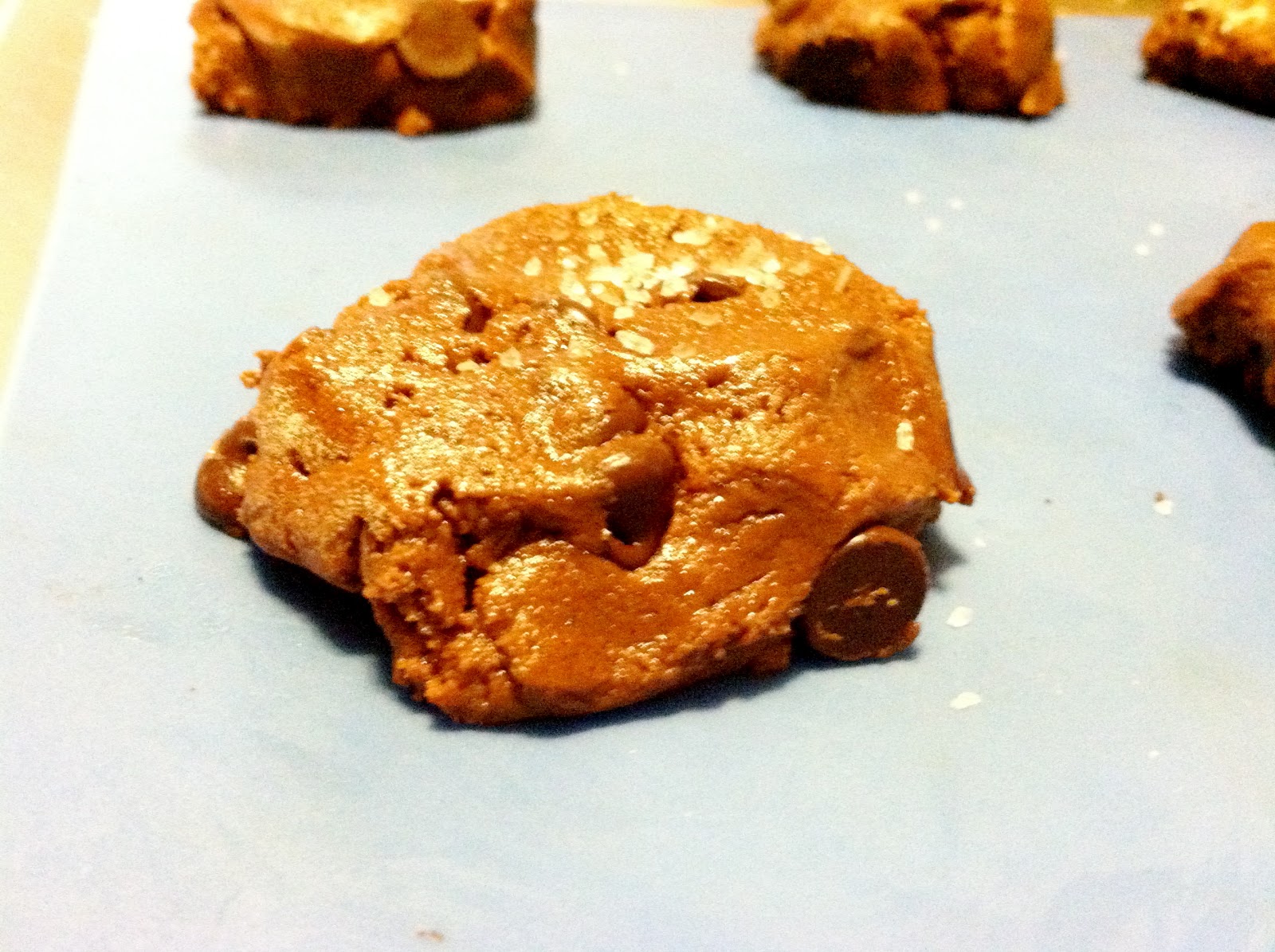 .Baking Arts. Fleur de Sel Double Chocolate Cookies