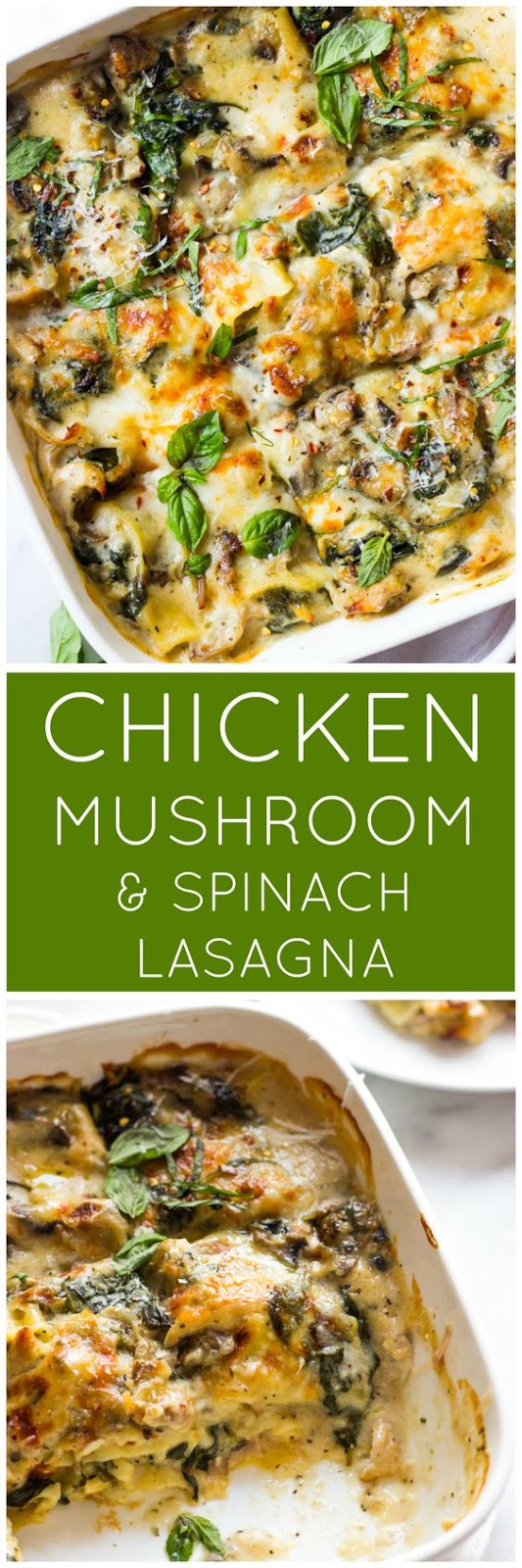 CHICKEN MUSHROOM AND SPINACH LASAGNA #chicken #mushroom #spinach #spinachlasagna #lasagna #lasagnarecipes #chickenrecipes