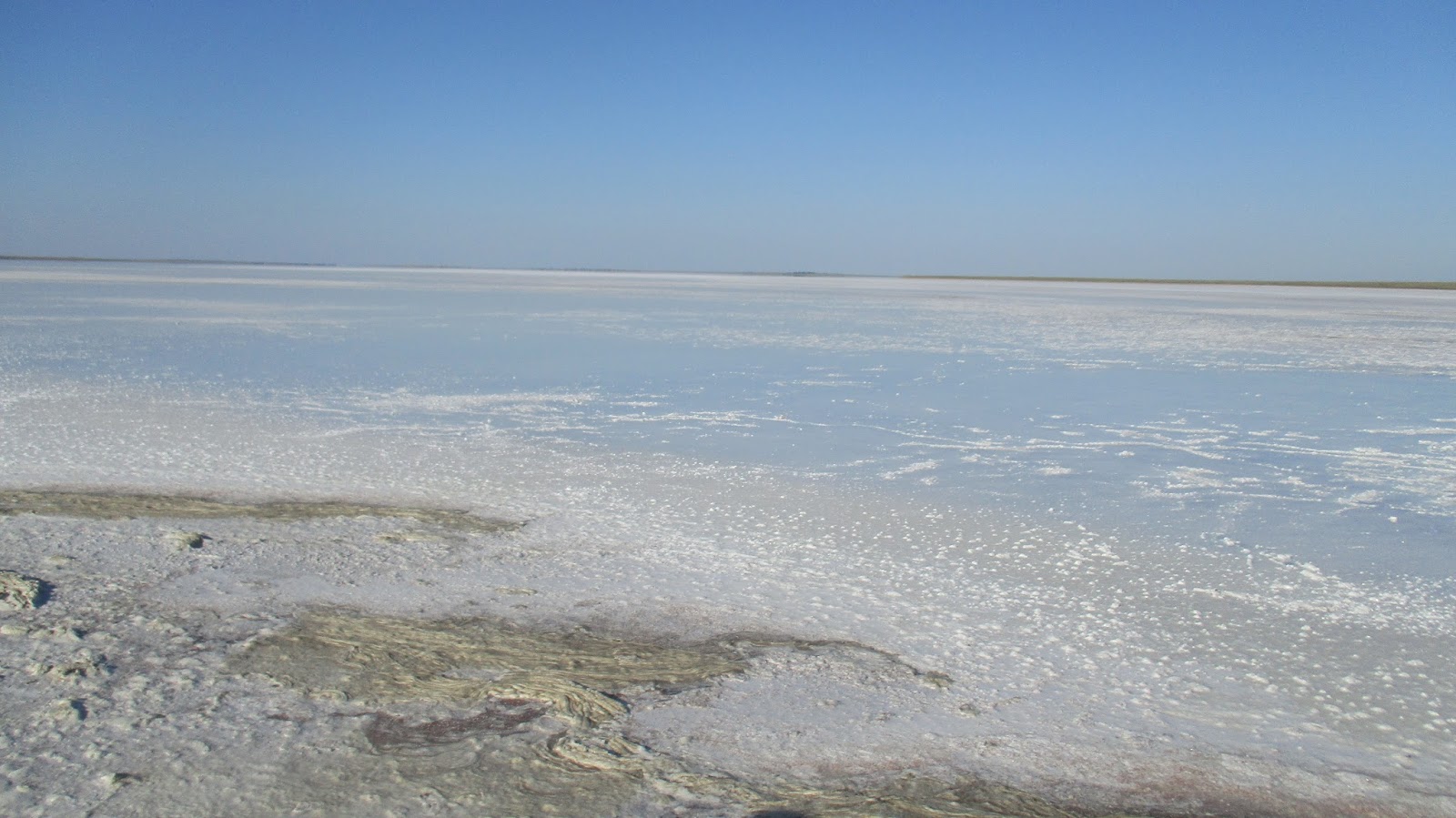 Гнилое море