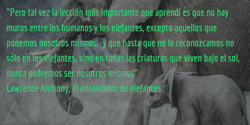 Autonomía y Bienvivir Cómo los elefantes pueden darnos una lección Autonomía y Bienvivir Cómo los elefantes pueden darnos una lección