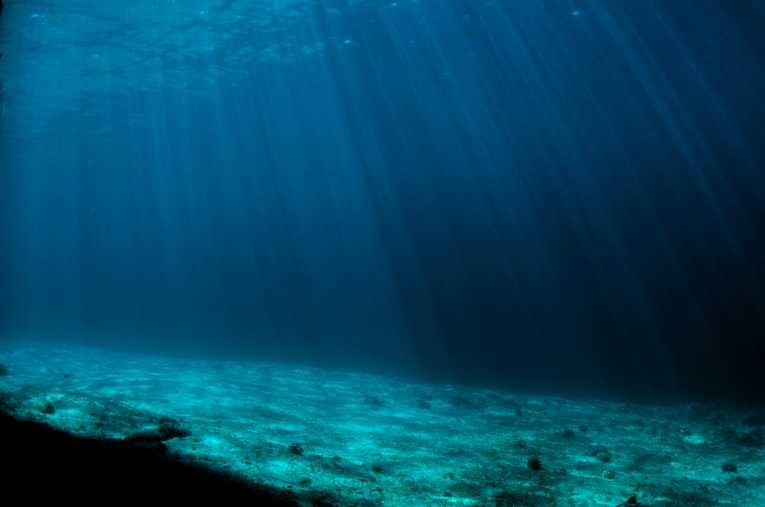 Атлантический наибольшая глубина. Глубины океана текст. Сообщение исследование морских глубин. Рыба удильщик описание. Океан под водой.
