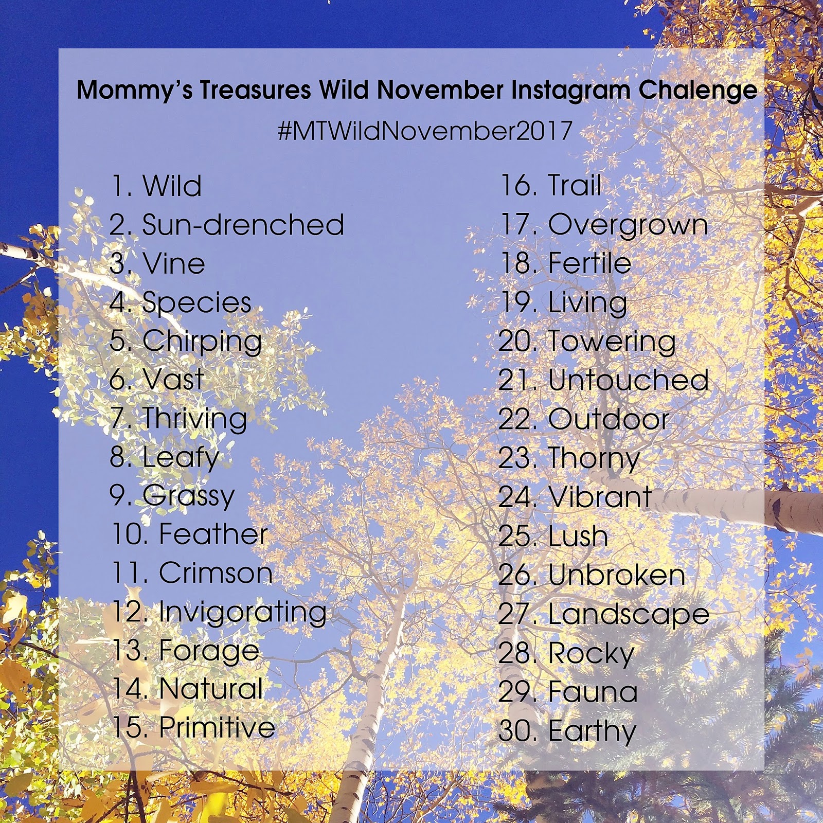 November Instagram Challenge - Make It Wild | Mommy's Treasures
